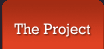 The Project